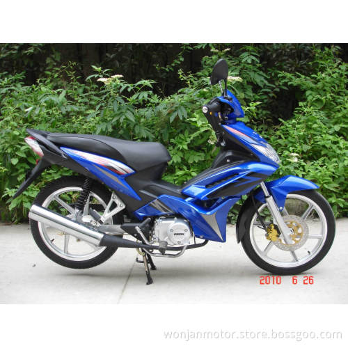 Asian Eagle (WJ110-VI)